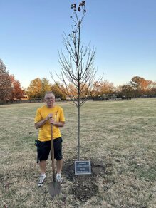 planting memorial tree brentwood tn