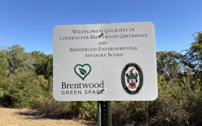 Smith Park Wildflower Garden